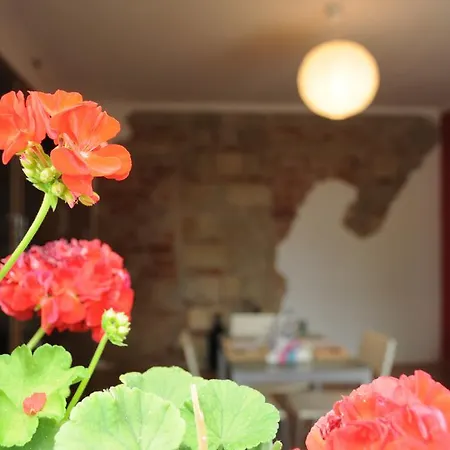 Bed and Breakfast Alice In Wonderland *